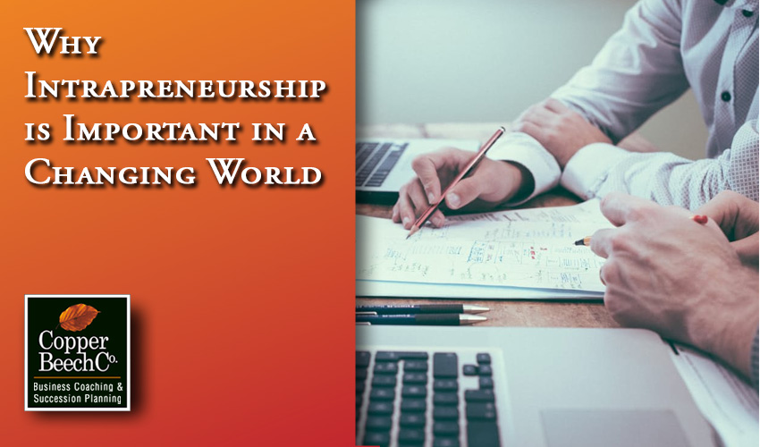 Intrapreneurship Importance