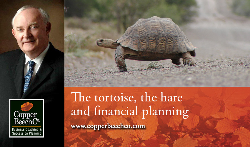 The tortoise, the hare and financial planning - Copper Beech Co.