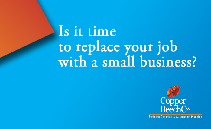 Replace your job with a small business